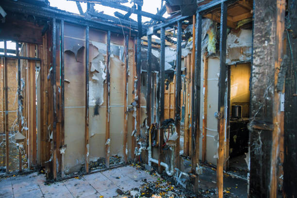 Professional Smoke Damage Removal technician working in Wood River, NE